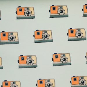 Camera – Tissu French Terry – par 50cm – See You At Six