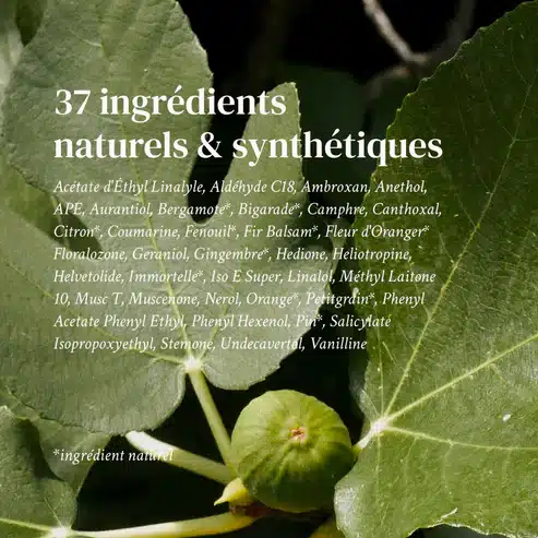 Extrait de Parfum SEA SUD & SUN – Image 4