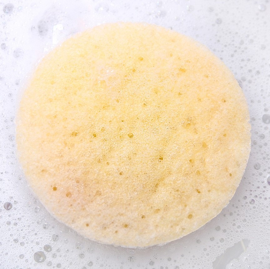 Eponge Konjac – Naturelle – Image 5