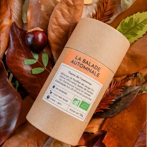 TISANE LA BALADE AUTOMNALE