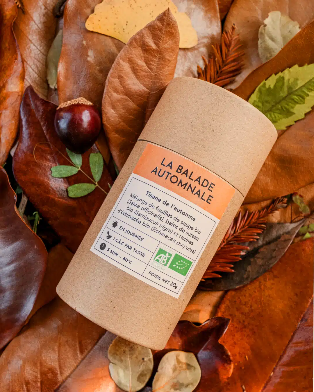 TISANE LA BALADE AUTOMNALE