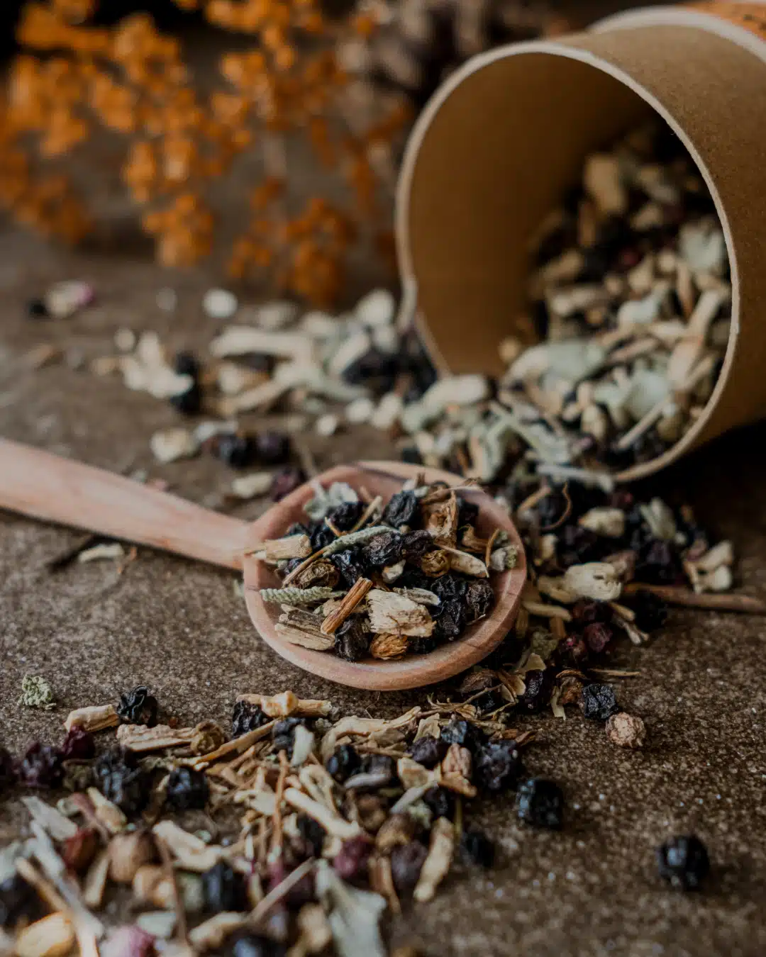 TISANE LA BALADE AUTOMNALE – Image 2